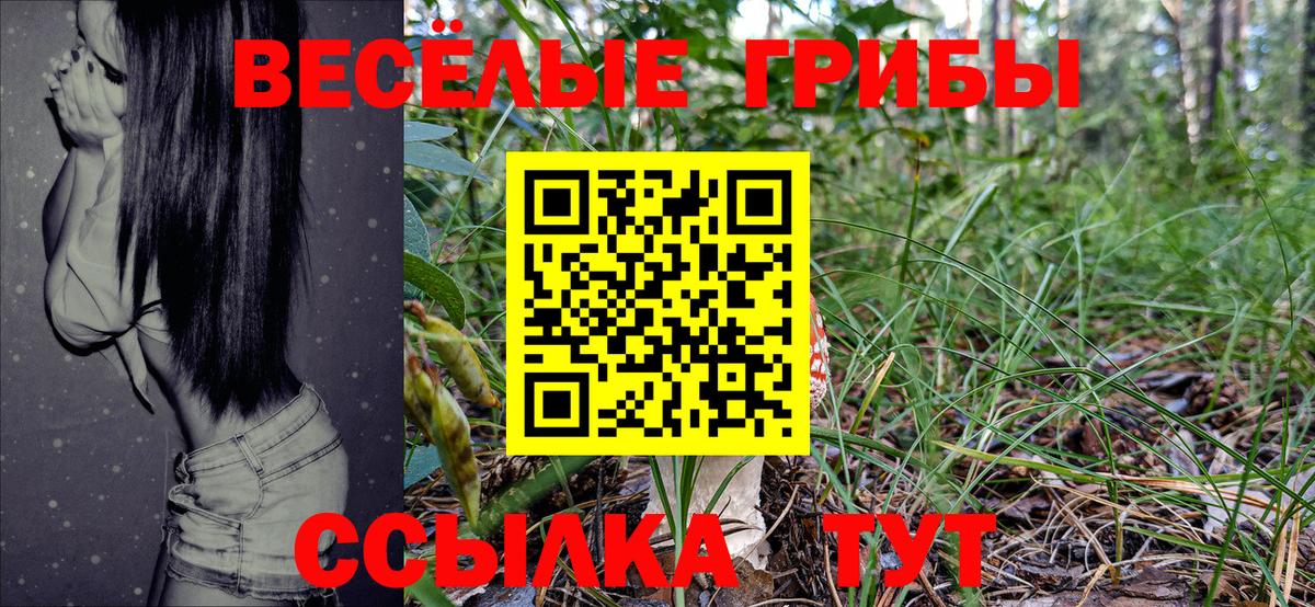 Кунгур  Псилоцибиновые грибы Psilocybine cubensis  Вход с VPN 